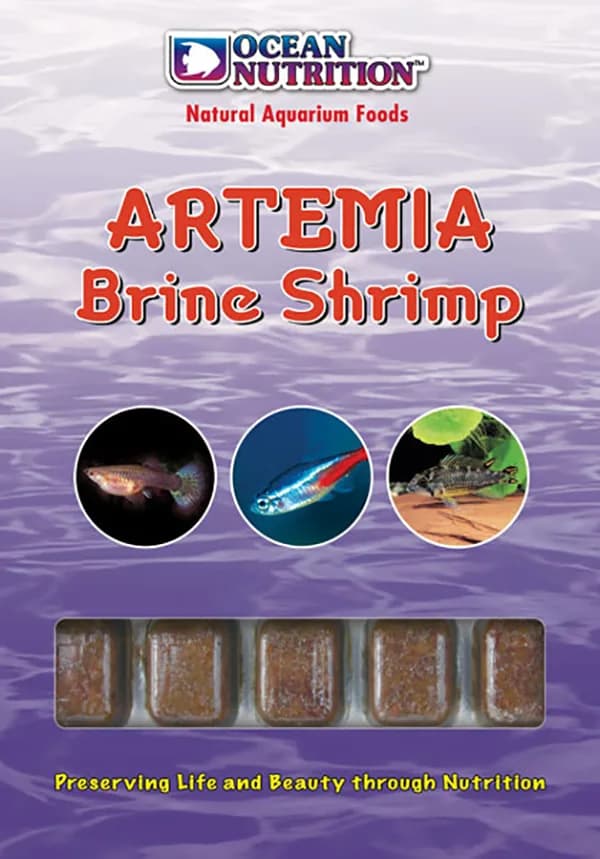 Frozen Artemia Brine Shrimp