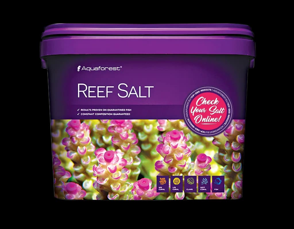 Reef Salt