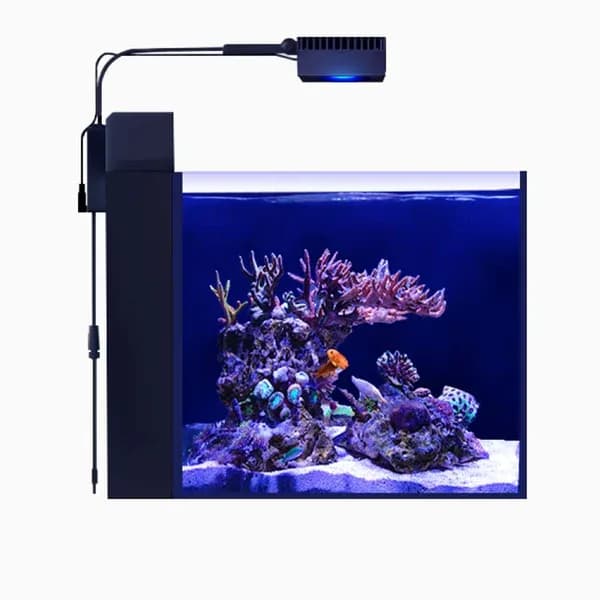 Max Nano G2 Peninsula
